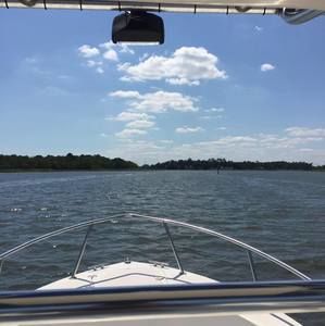 Meet your Posher, Tom